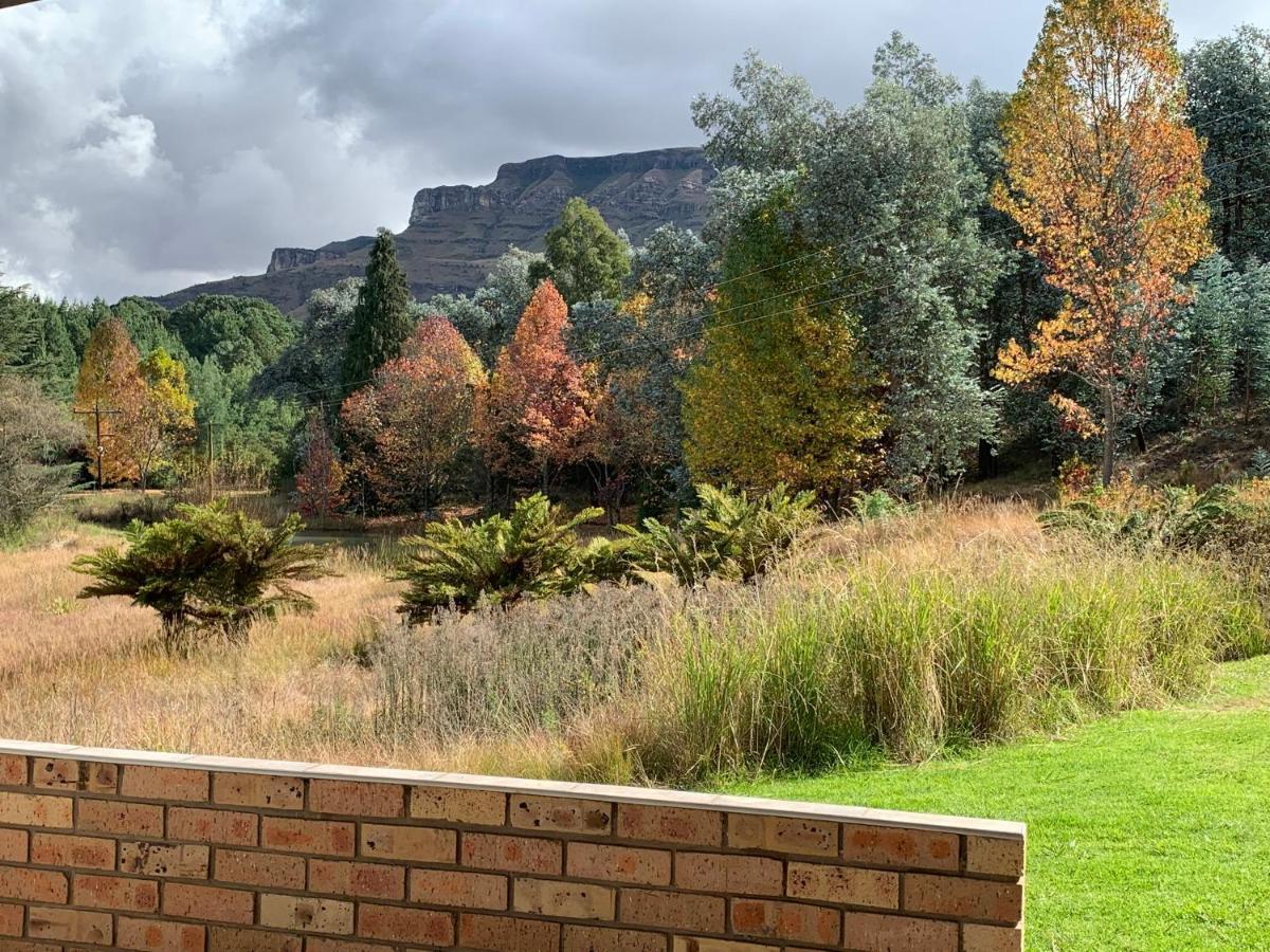 Ferienwohnung Brackenburn Trout And Trail Retreat Elandskop Exterior foto